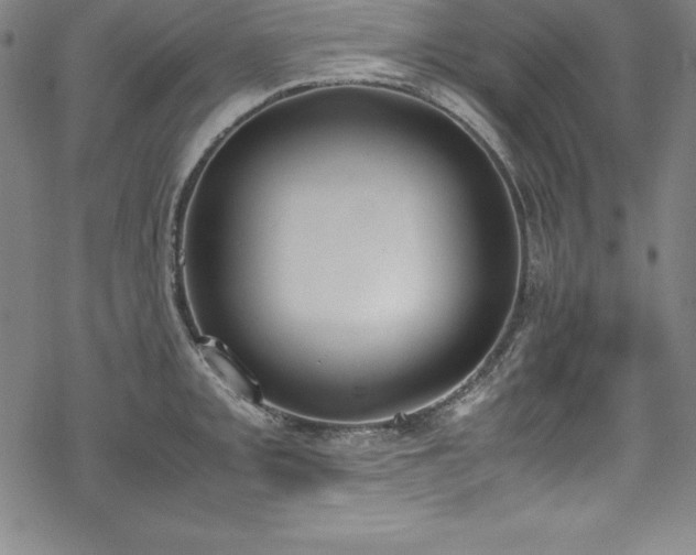 X0000069391093200605121205