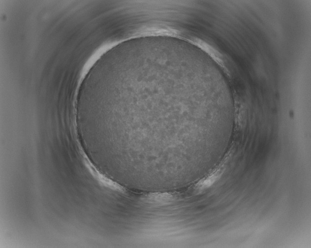 X0000069391094200605121205