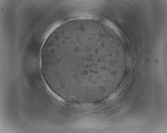 X0000069391095200605121205