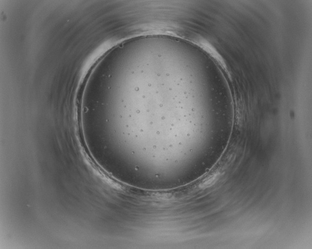 X0000069391096200605121205