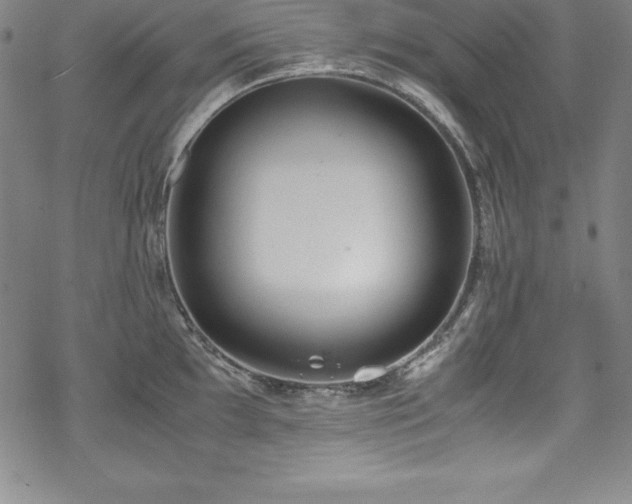 X0000069391097200605121205