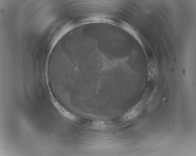 X0000069391098200605121205