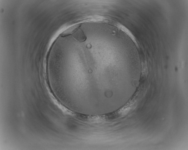 X0000069391099200605121205