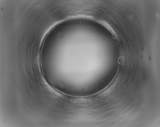 X0000069391100200605121205