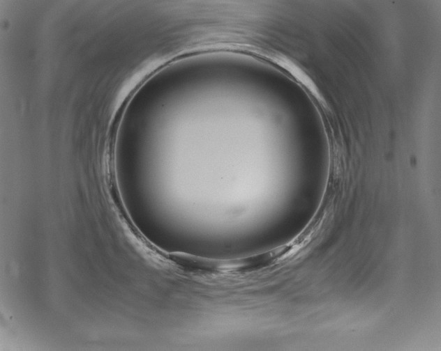 X0000069391101200605121205