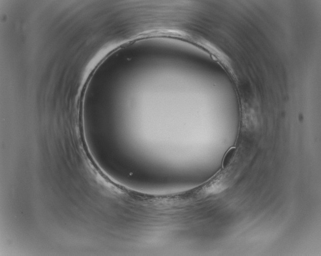 X0000069391102200605121205