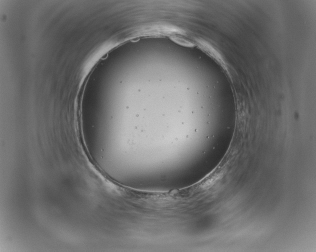 X0000069391103200605121205