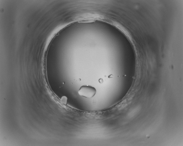 X0000069391104200605121205