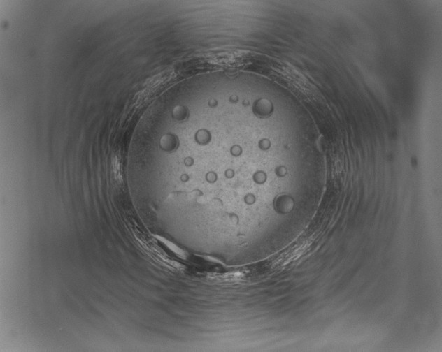 X0000069391106200605121204