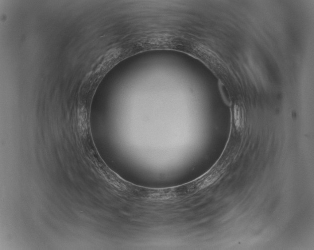 X0000069391107200605121204