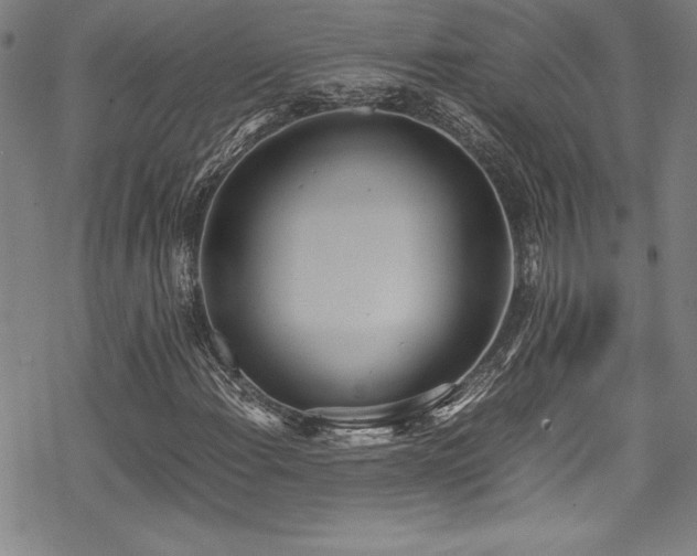 X0000069391108200605121204