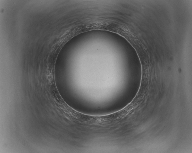 X0000069391109200605121204