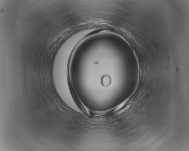 X0000069391110200605121204