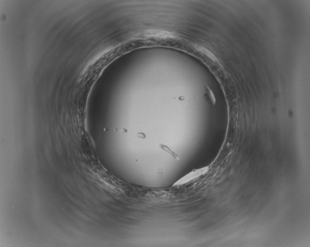 X0000069391112200605121204