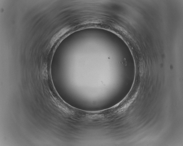 X0000069391113200605121204