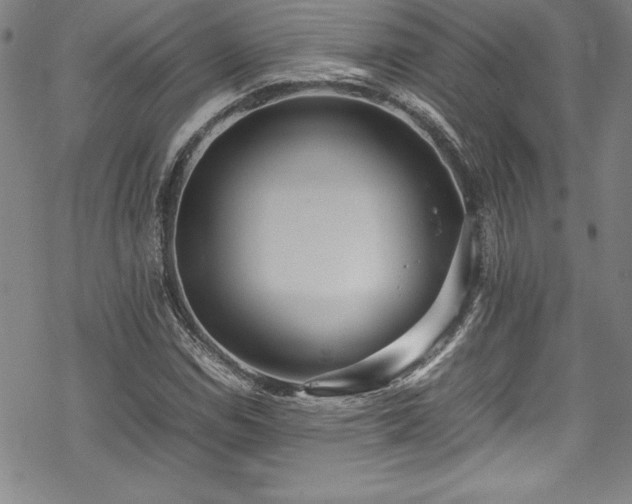 X0000069391114200605121204