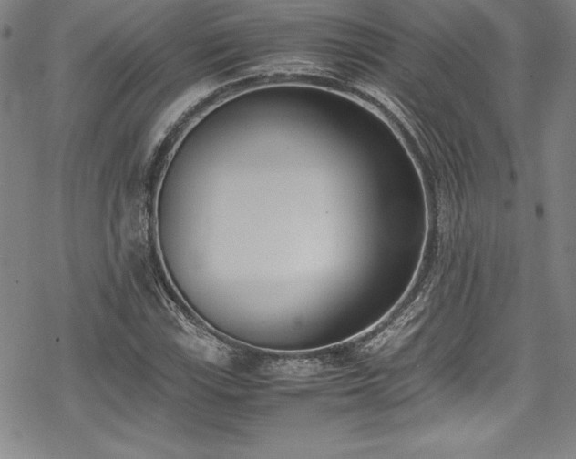 X0000069391115200605121204