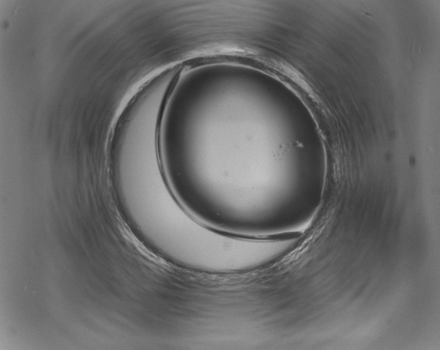 X0000069391116200605121204