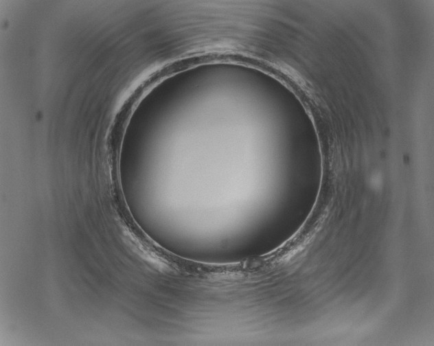 X0000069391118200605121204