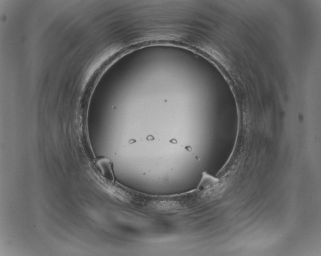 X0000069391119200605121204