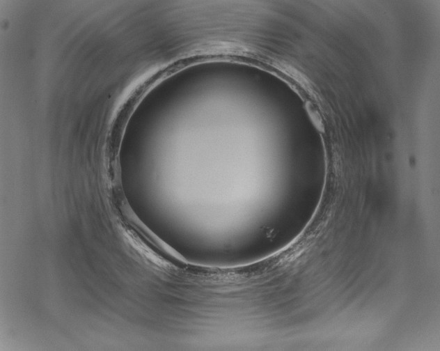 X0000069391120200605121204