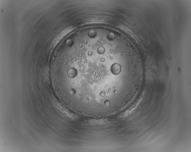 X0000069391121200605121204