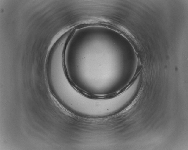 X0000069391122200605121204