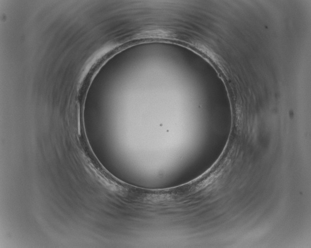 X0000069391123200605121204