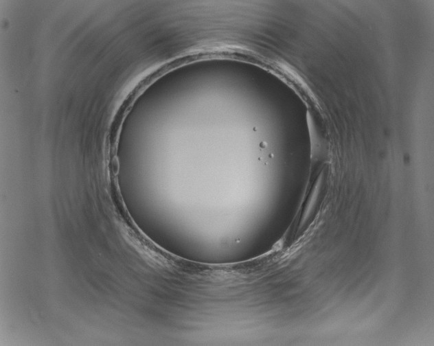 X0000069391124200605121204