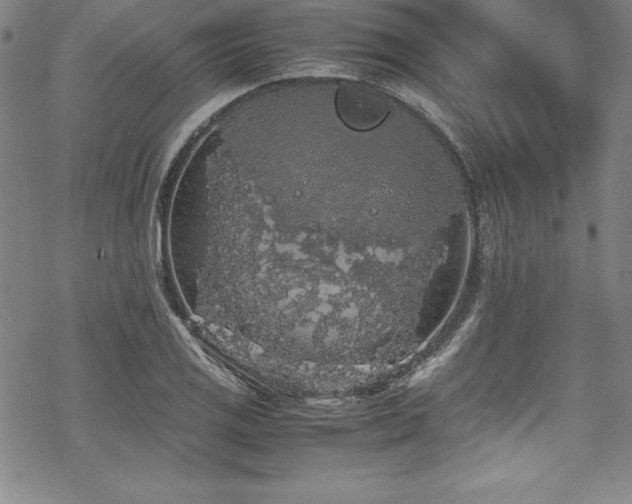 X0000069391125200605121204