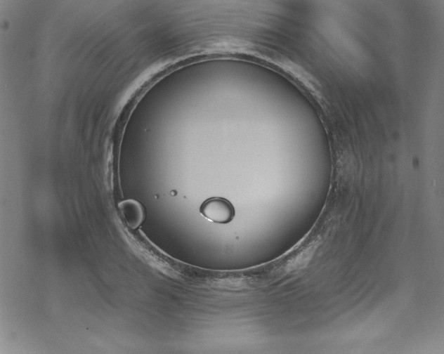 X0000069391126200605121204