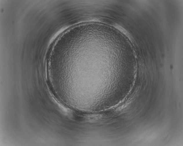 X0000069391127200605121204