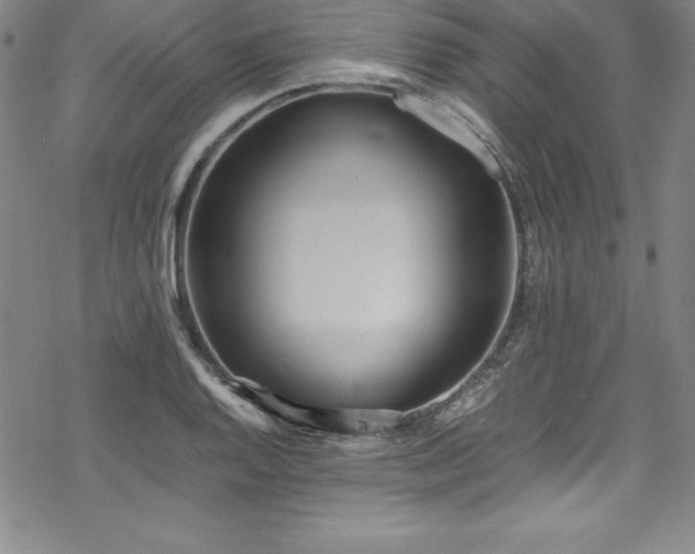 X0000069391128200605121204