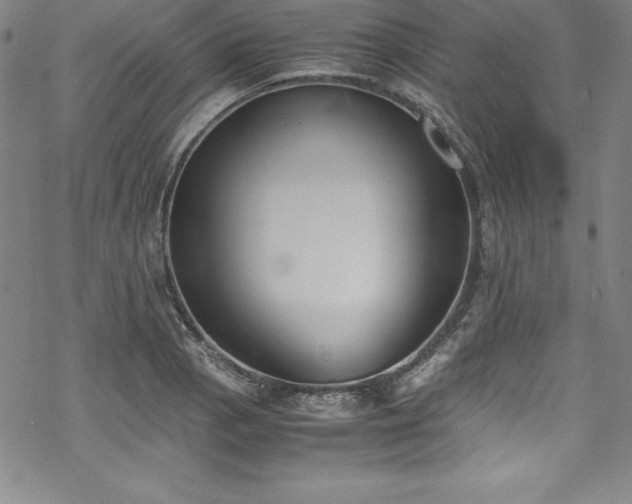 X0000069391129200605121204