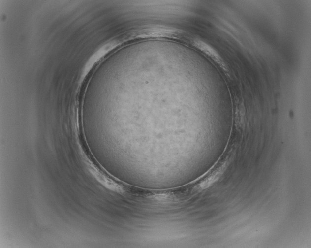 X0000069391130200605121204