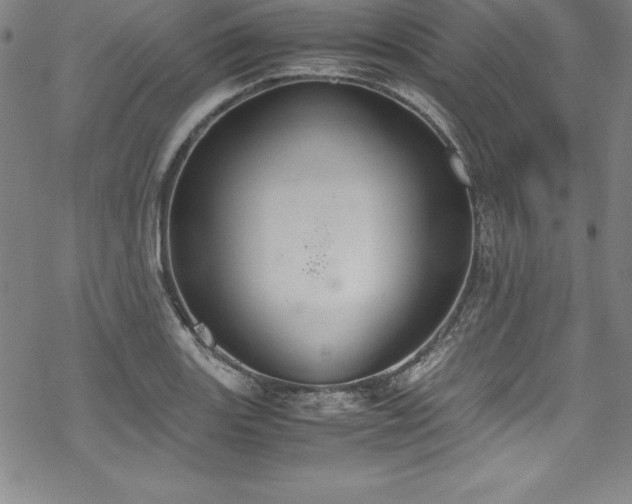 X0000069391131200605121204