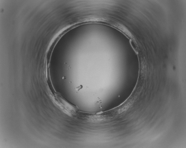 X0000069391132200605121204