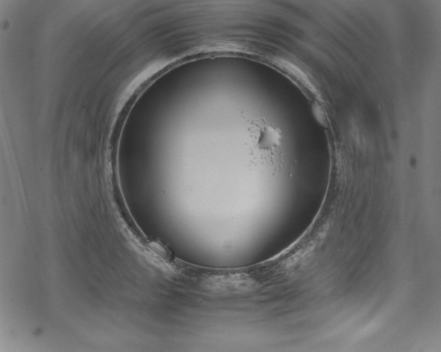 X0000069391133200605121204