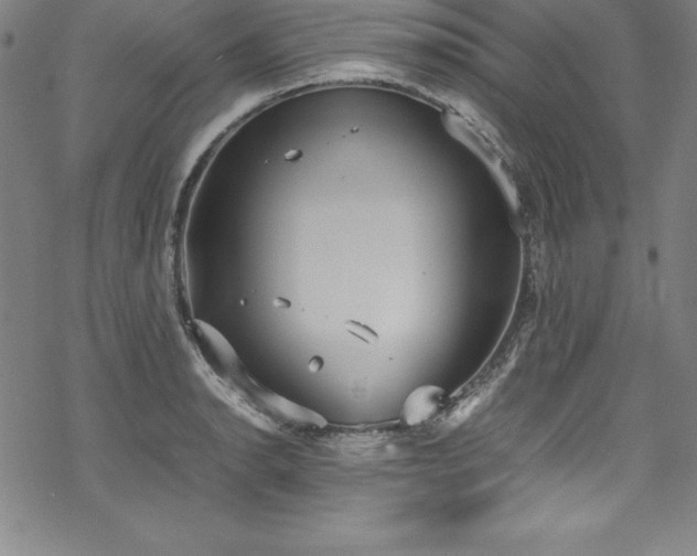 X0000069391134200605121204