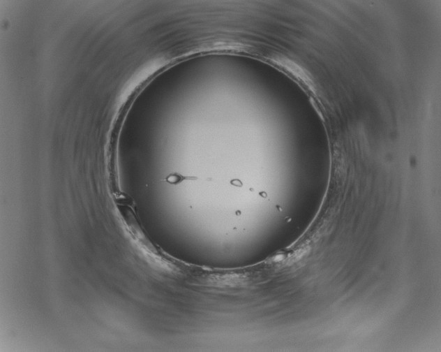 X0000069391135200605121204