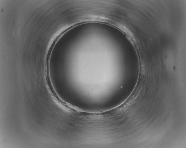 X0000069391136200605121204