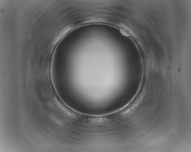 X0000069391137200605121204