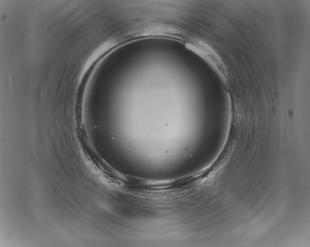 X0000069391138200605121204