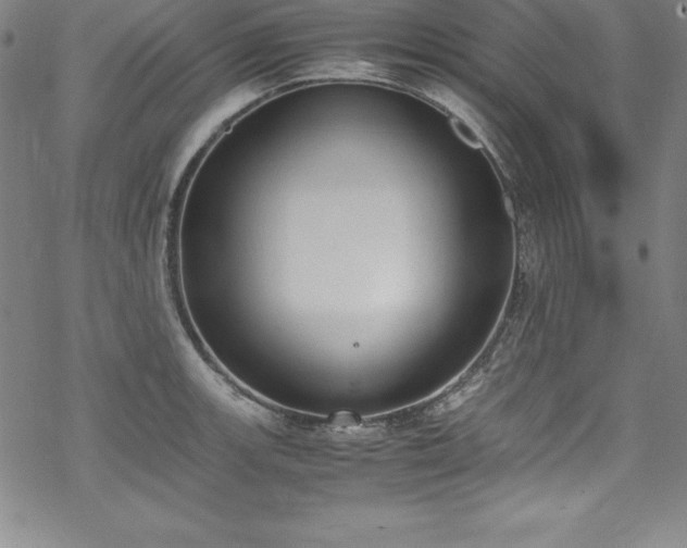 X0000069391139200605121204