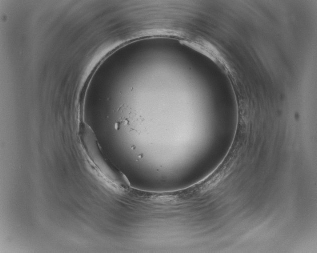 X0000069391140200605121204