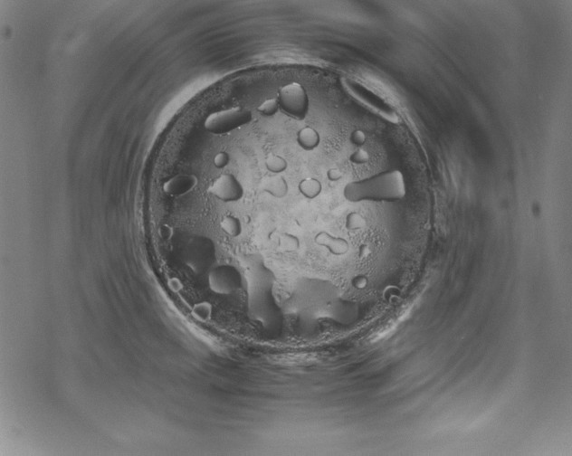 X0000069391141200605121204