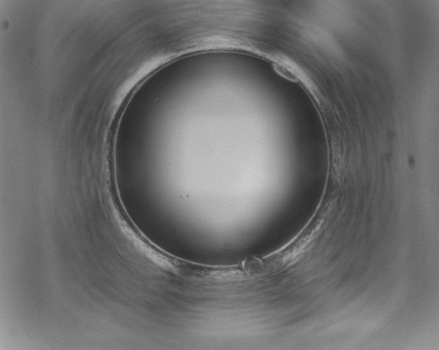 X0000069391142200605121204