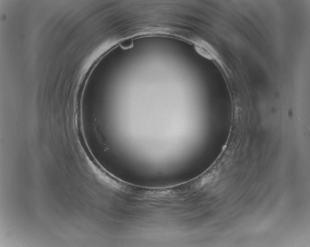 X0000069391143200605121204