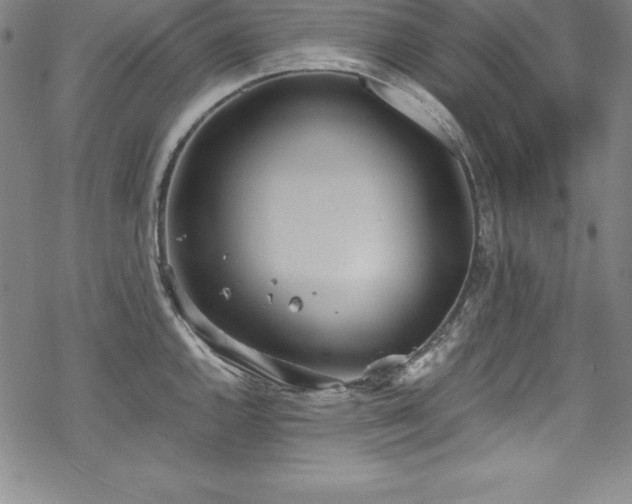 X0000069391144200605121204