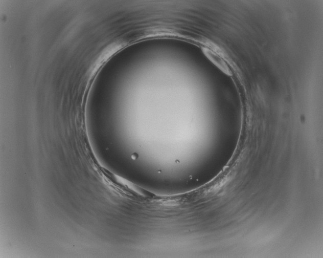 X0000069391145200605121204